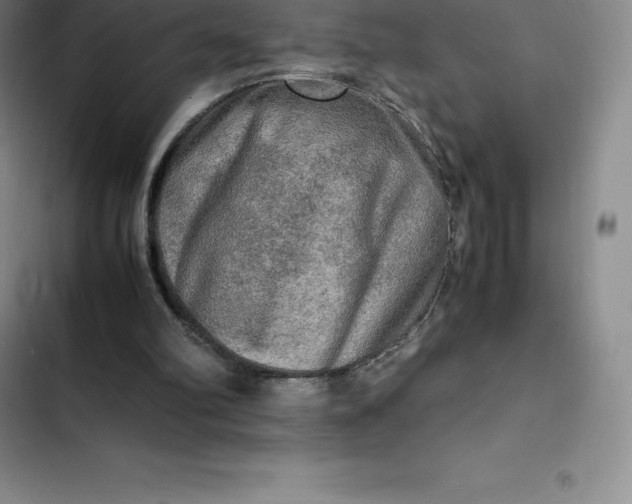 X0000102520102200808221851