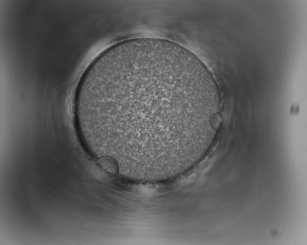 X0000102520103200808221851