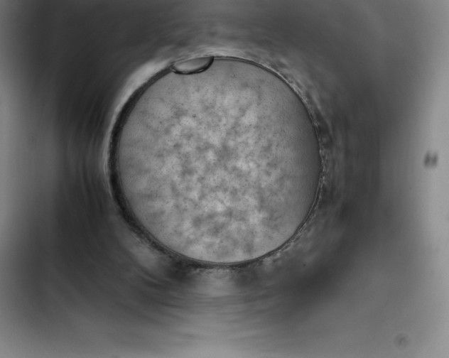 X0000102520104200808221851