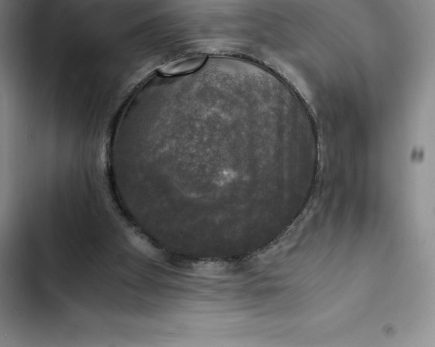 X0000102520105200808221851