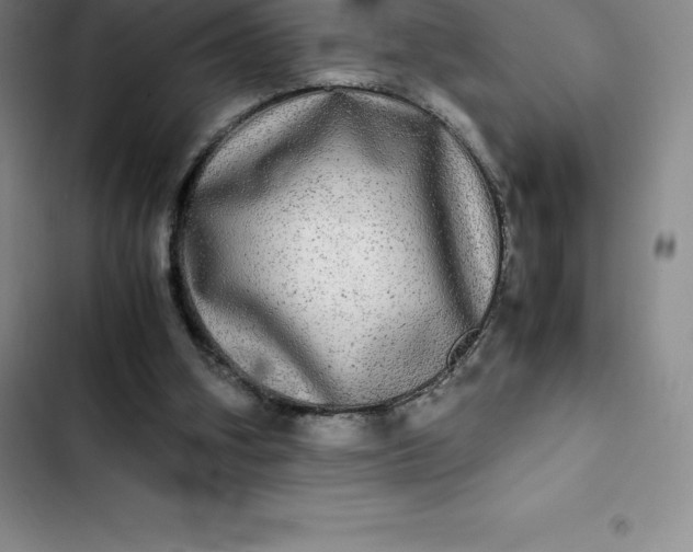 X0000102520106200808221851