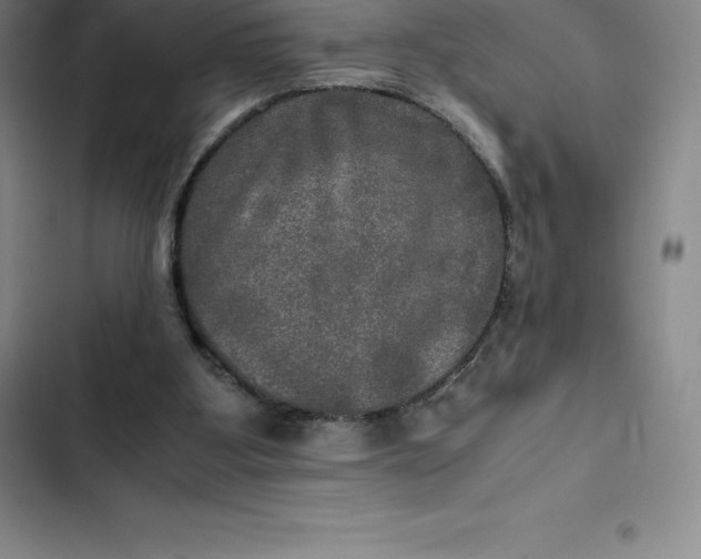 X0000102520107200808221851