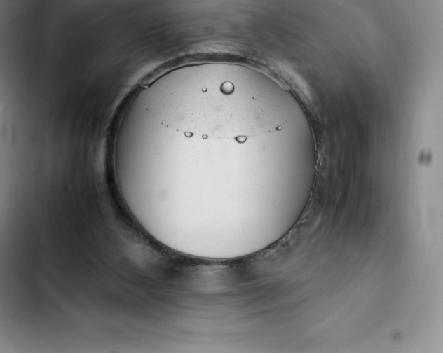 X0000102520108200808221851