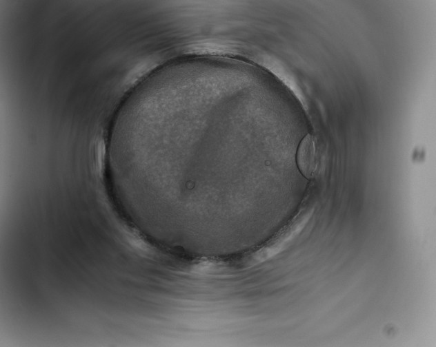 X0000102520109200808221851