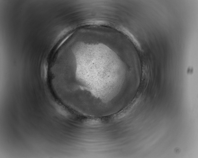 X0000102520110200808221851