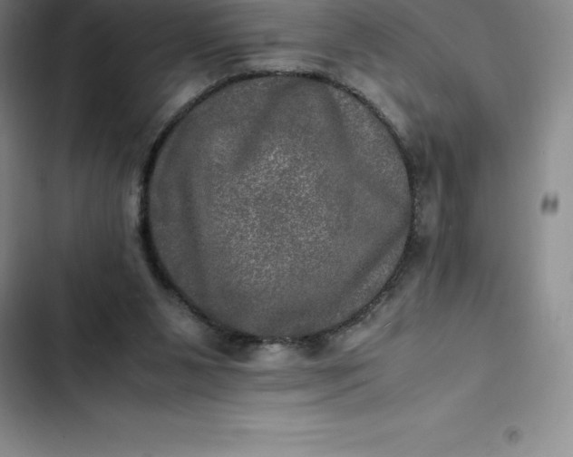 X0000102520111200808221851