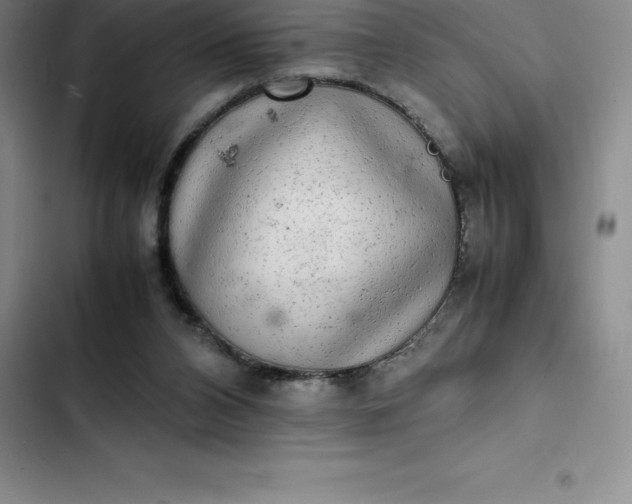 X0000102520112200808221851