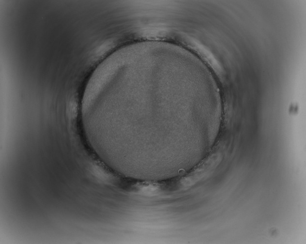 X0000102520113200808221851