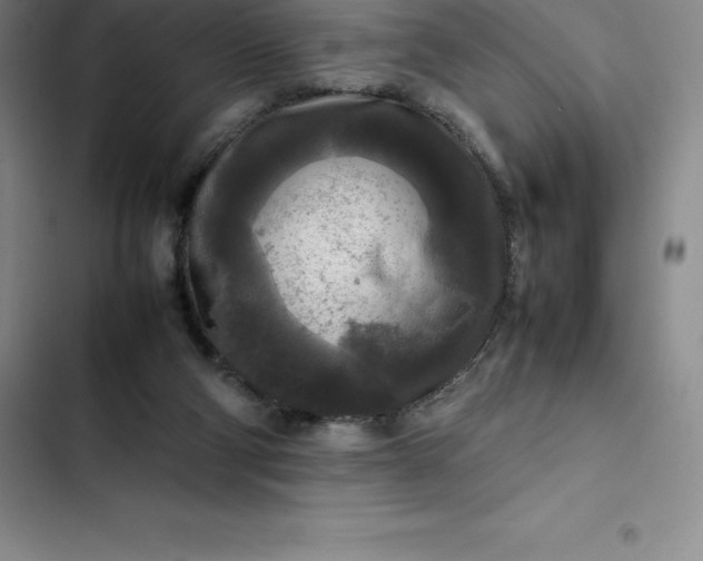 X0000102520114200808221851