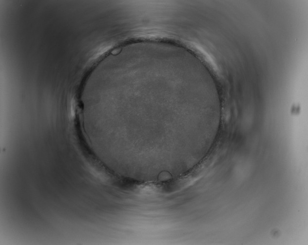 X0000102520115200808221851