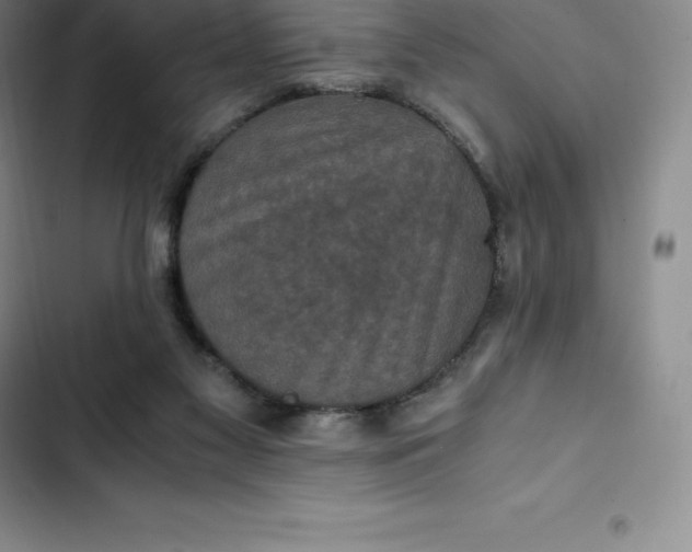 X0000102520117200808221851