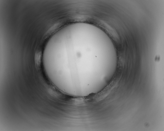 X0000102520118200808221851