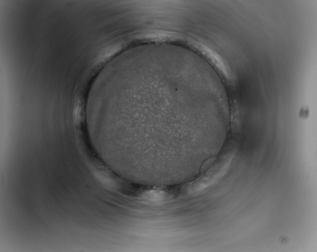 X0000102520119200808221851