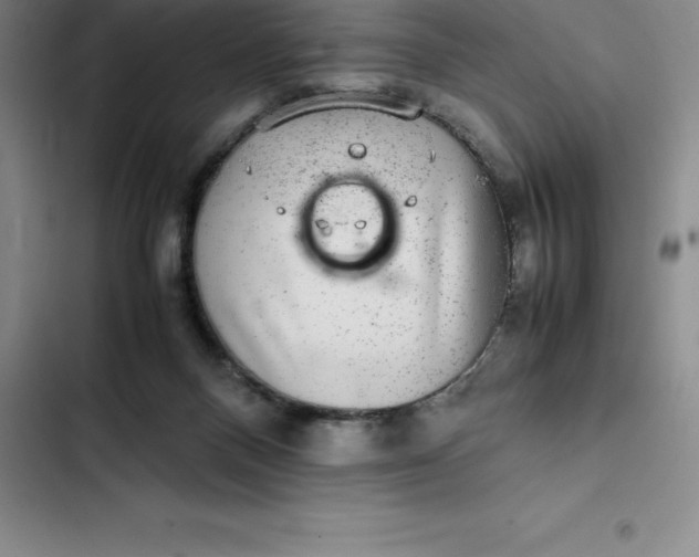 X0000102520120200808221851