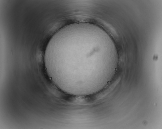 X0000102520121200808221851