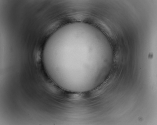 X0000102520122200808221851