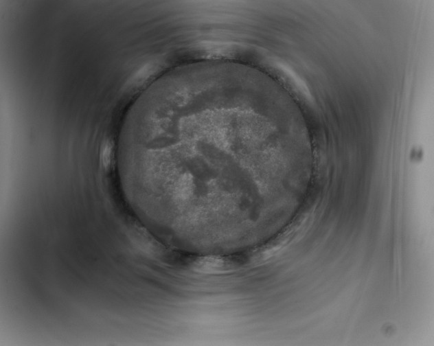 X0000102520123200808221851