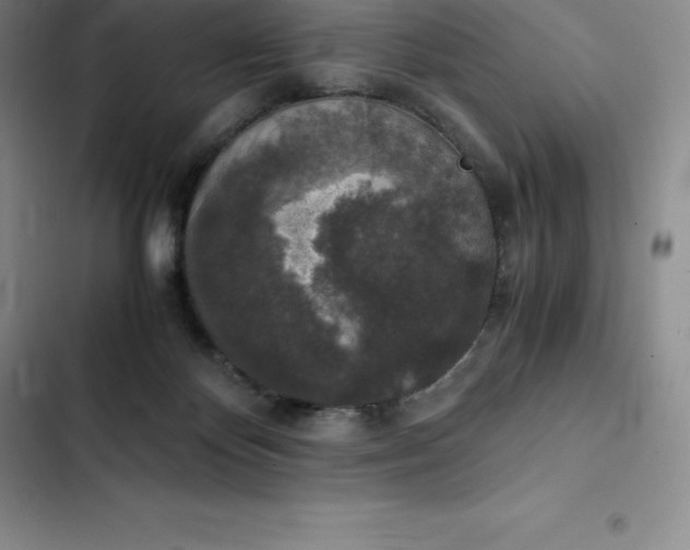 X0000102520124200808221851