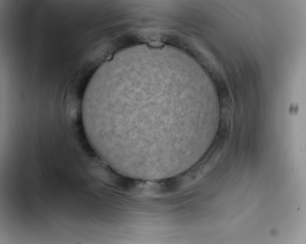 X0000102520125200808221850