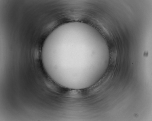 X0000102520126200808221850