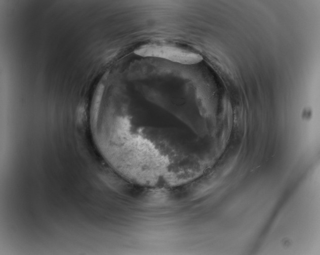 X0000102520127200808221850