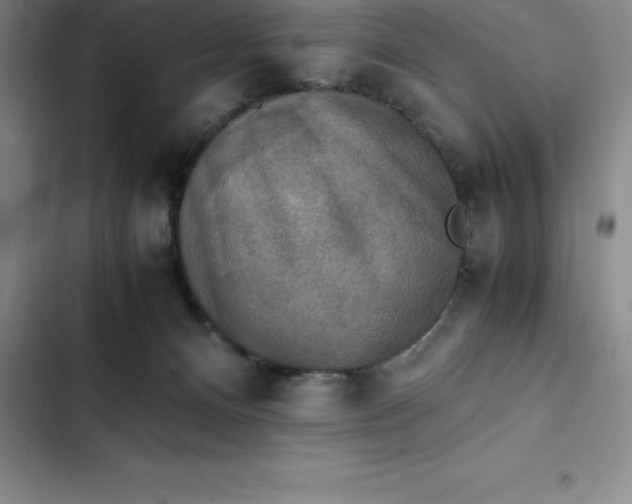 X0000102520128200808221850