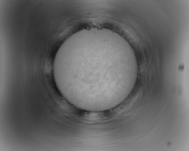 X0000102520129200808221850