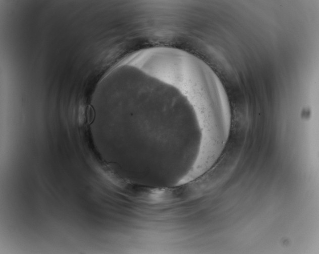 X0000102520130200808221850