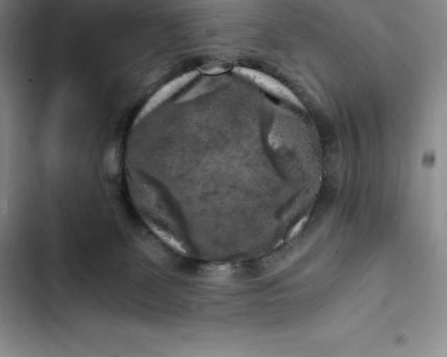 X0000102520131200808221850