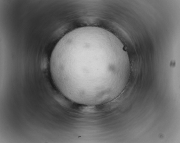 X0000102520132200808221850