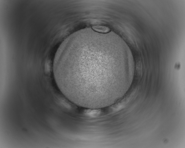 X0000102520135200808221850