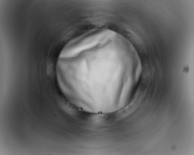 X0000102520136200808221850