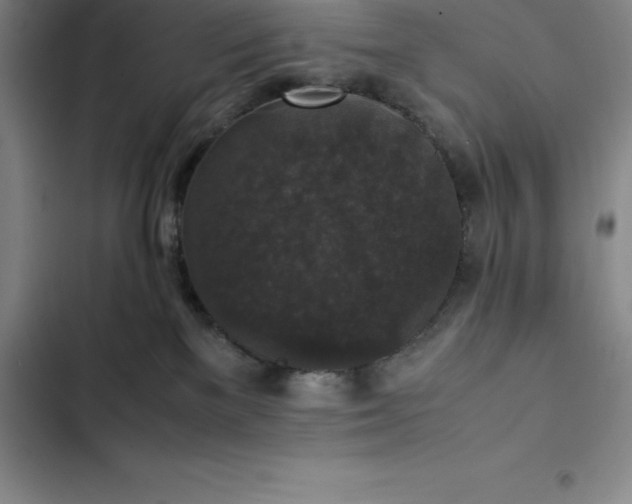 X0000102520137200808221850