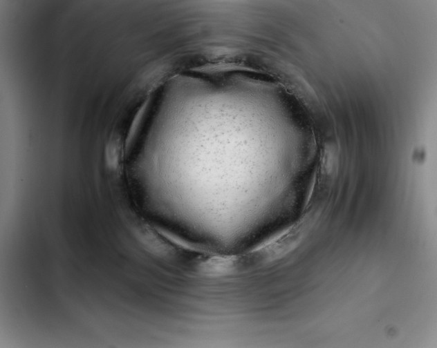 X0000102520138200808221850