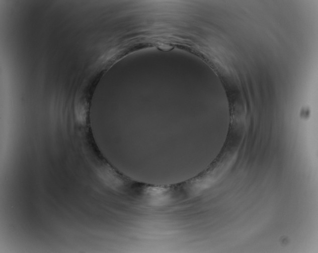 X0000102520139200808221850