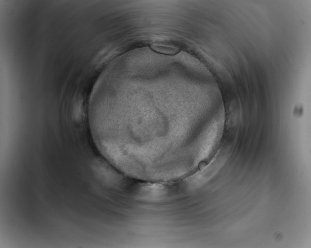 X0000102520140200808221850