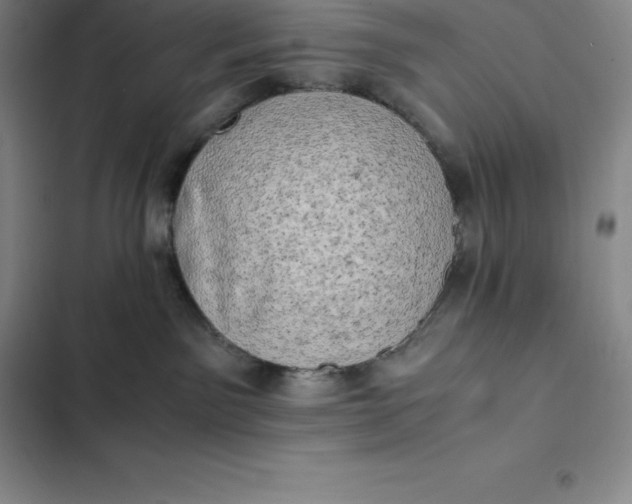 X0000102520141200808221850