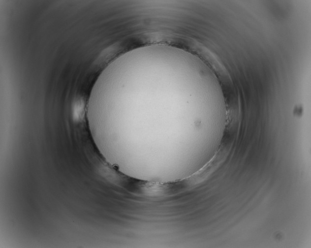 X0000102520142200808221850