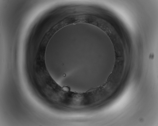 X0000102520143200808221850