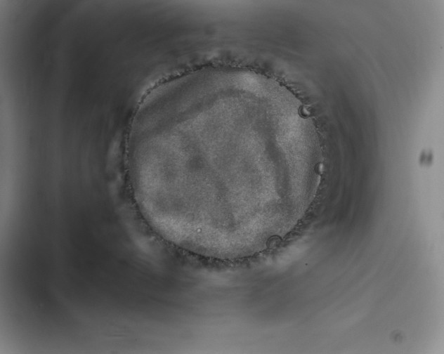 X0000102520144200808221850