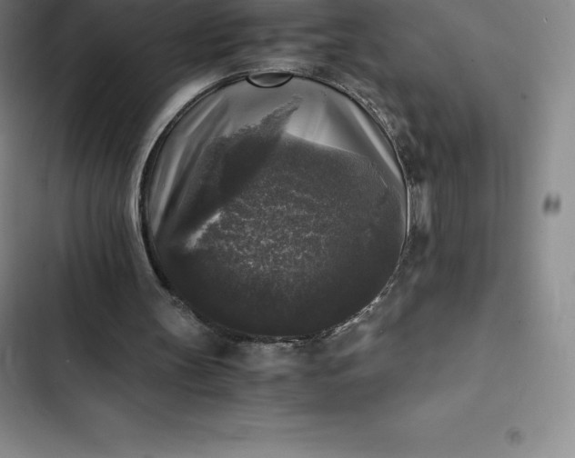 X0000102520147200808221849