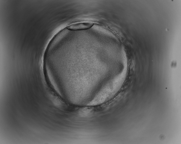 X0000102520148200808221849