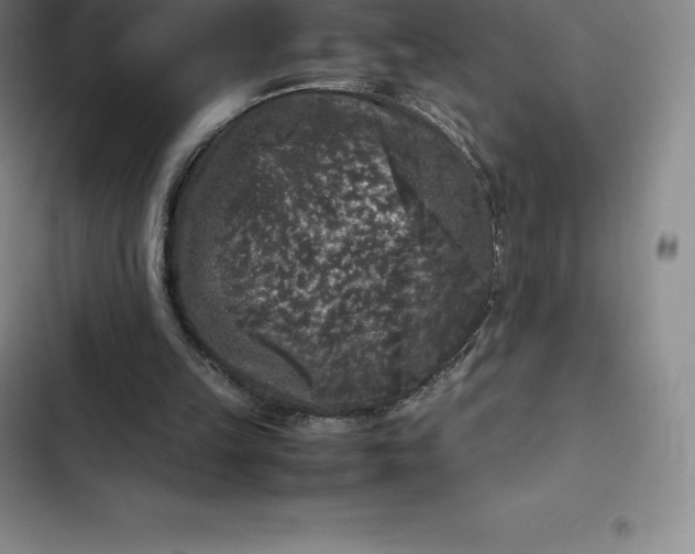 X0000102520149200808221849