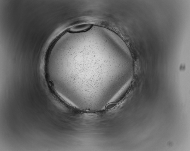 X0000102520150200808221849