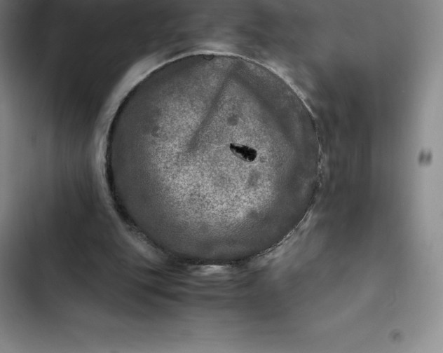 X0000102520151200808221849