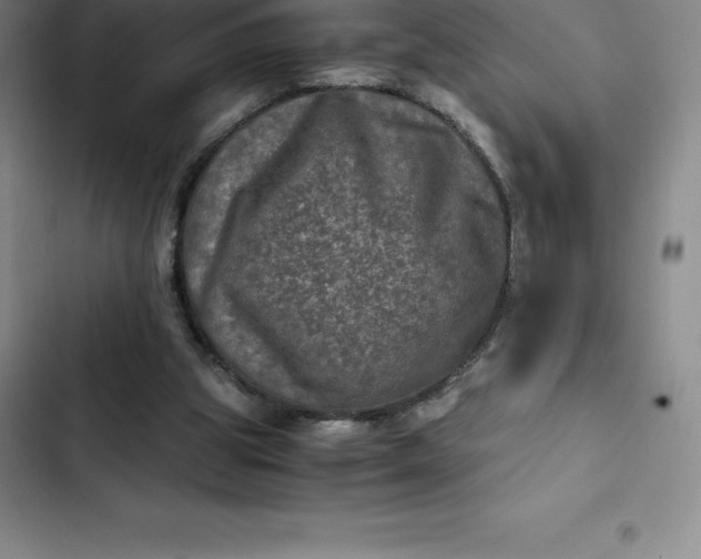 X0000102520153200808221849