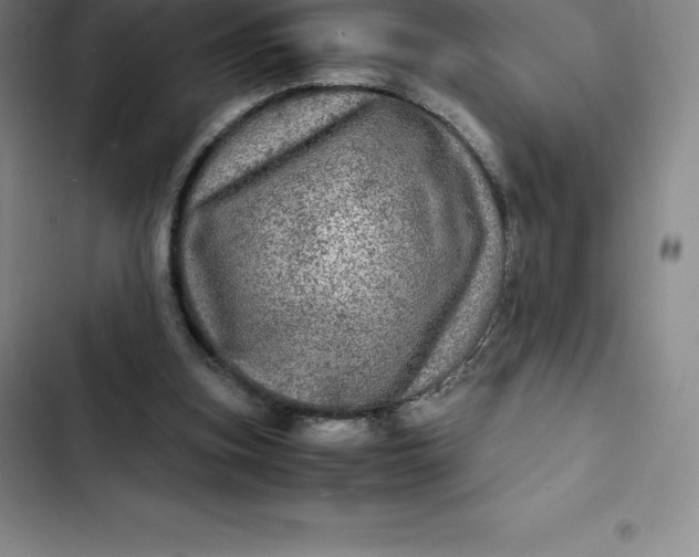 X0000102520155200808221849