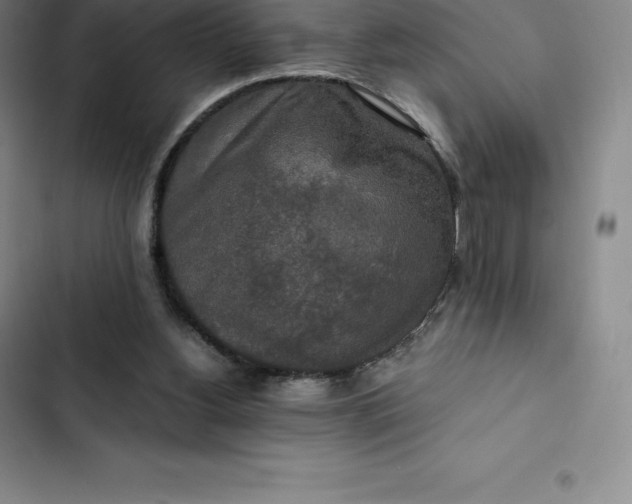 X0000102520156200808221849