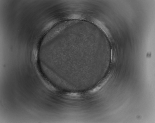 X0000102520157200808221849