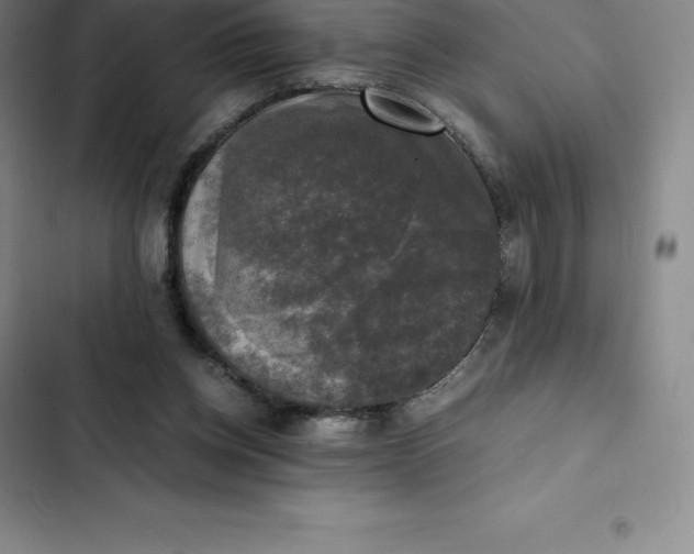 X0000102520158200808221849